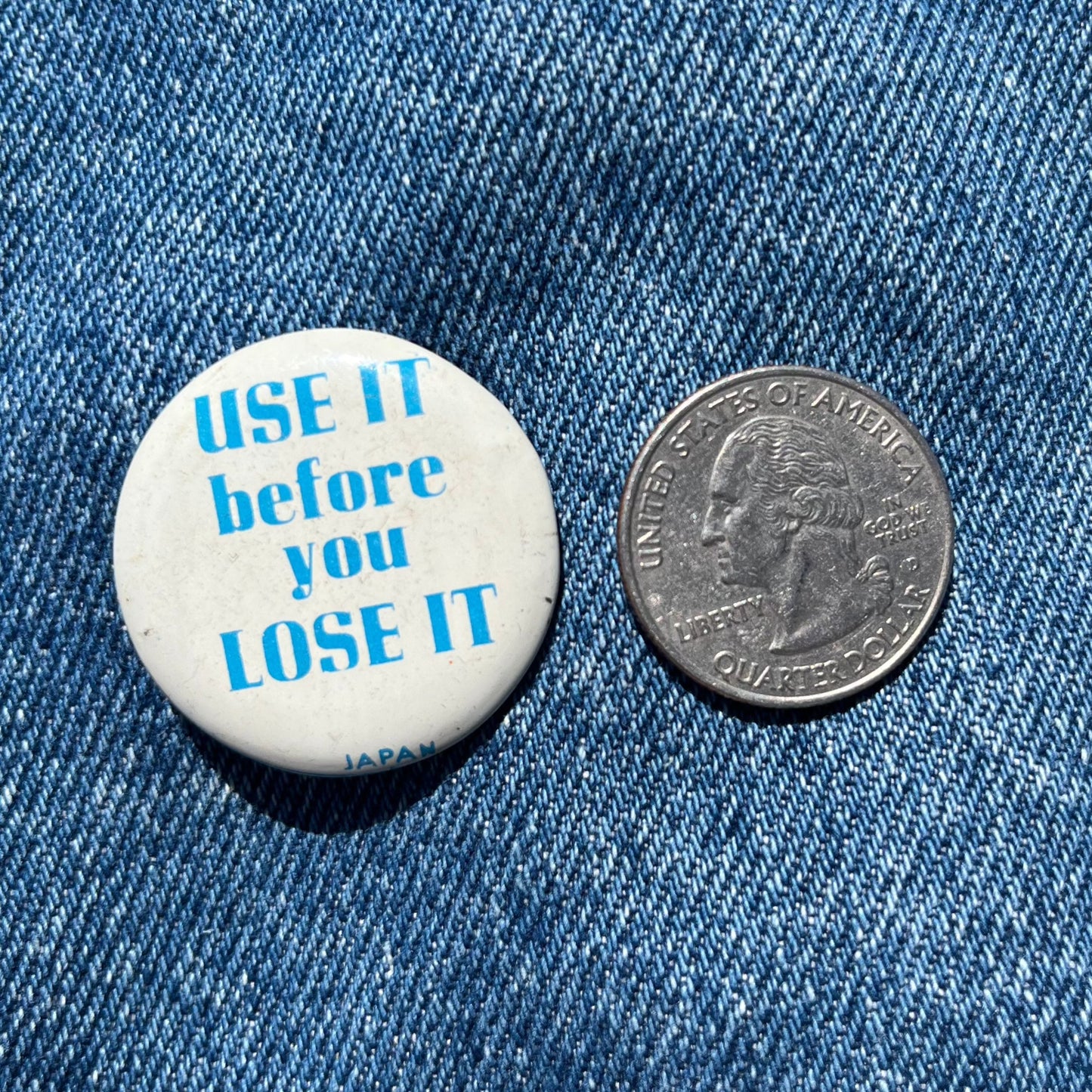 USE IT before you LOSE IT Pin